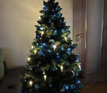 Cerny Dul Apartment | Pet-Friendly Apartmán Jitka - Slunečná louka Awaits You