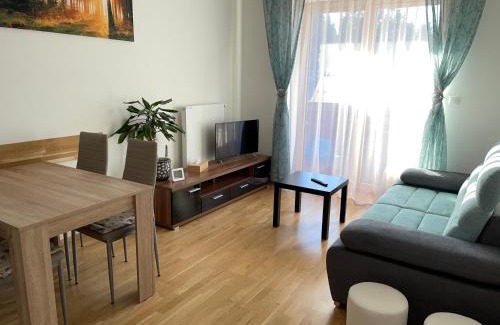 Cerny Dul Apartment | Pet-Friendly Apartmán Jitka - Slunečná louka Awaits You
