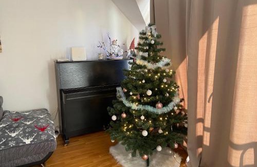 Tatranska Lomnica Apartment | Pet-Friendly Comfort at Apartmán Juli - Rated 9.5/10