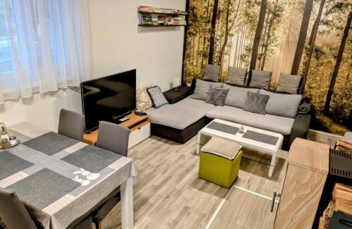 Sastin Apartment | Pet-Friendly Oceanfront Apartment Kocka with Hot Tub