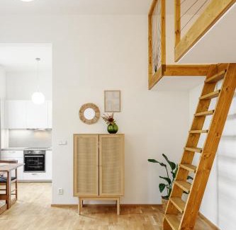 Brno-stred Apartment | Apartmán Koliště u divadla