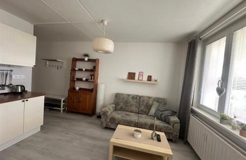 Kovarska Apartment | Cozy Apartment Kovářská near Klínovec with Spa & Pet-Friendly