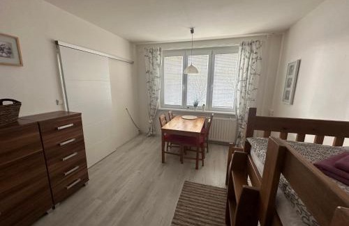 Kovarska Apartment | Cozy Apartment Kovářská near Klínovec with Spa & Pet-Friendly