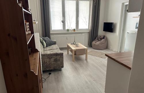 Kovarska Apartment | Cozy Apartment Kovářská near Klínovec with Spa & Pet-Friendly