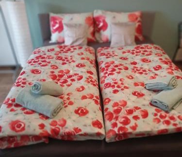 Prostredni Lanov Apartment | Pet and Child Friendly Retreat at Apartmán Krkonoše