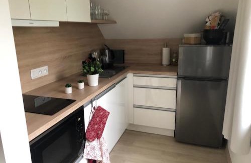Horni Blatna Apartment | Family-Friendly Stay in the Beautiful Krušné Mountains