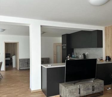 Ricky v Orlickych horach Apartment | Apartmán Lesněnka