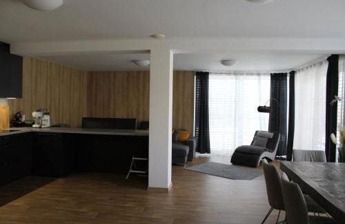 Ricky v Orlickych horach Apartment | Apartmán Lesněnka