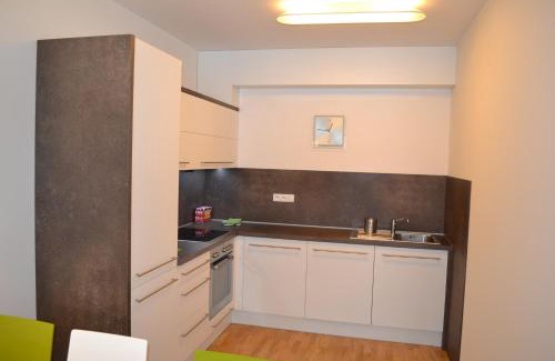Spindleruv Mlyn Apartment | Wheelchair Accessible Retreat: Apartmán Medvědín 109