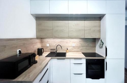 Bystrice pod Hostynem Apartment | Apartmán MINOR