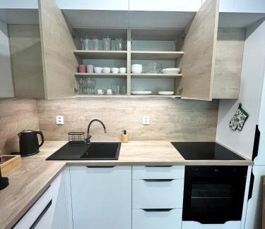 Bystrice pod Hostynem Apartment | Apartmán MINOR
