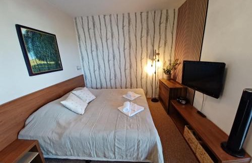 Velka Lomnica Apartment | Discover Apartmán Mirka - Tatra Mountain Resort with Pool