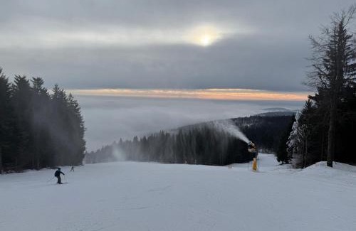 Cervena Voda Apartment | Family-Friendly Retreat at Apartmán na Bukovce MEROT