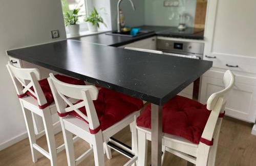 Rokytnice nad Jizerou Apartment | Apartmán Na Manhattanu