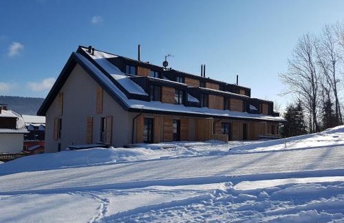 Dolni Morava Apartment | Family-Friendly Apartmán NA SVAHU in Dolní Morava