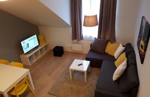 Dolni Morava Apartment | Family-Friendly Apartmán NA SVAHU in Dolní Morava