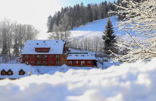 Zacler Apartment | Family-Friendly Apartmán Na Svahu in the Krkonoše Mountains