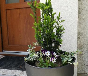 Luhacovice Apartment | Family-Friendly Apartmán na výsluní with Top Guest Ratings