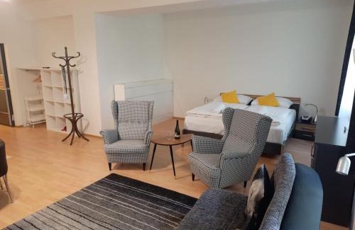 Karlovy Vary Apartment | Pet-Friendly Apartmán Nad Kolonádou with Breakfast Included
