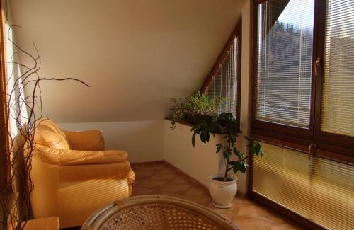 Levoca Apartment | Discover Apartmán NIKA - 9.6/10 Rated with Pool Access