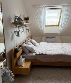 Nova Bystrice Apartment | Apartmán Nová Bystřice