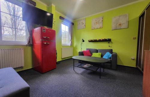 Mala Moravka Apartment | Pet-Friendly Apartmán Orbit in Karlov pod Pradědem