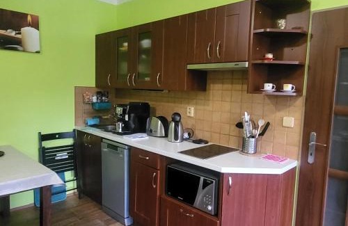Mala Moravka Apartment | Pet-Friendly Apartmán Orbit in Karlov pod Pradědem