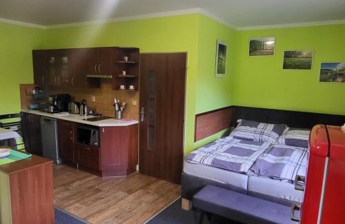 Mala Moravka Apartment | Pet-Friendly Apartmán Orbit in Karlov pod Pradědem