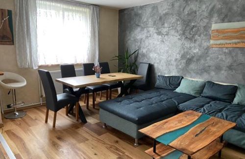 Orlicke Zahori Apartment | Apartmán Orlické hory