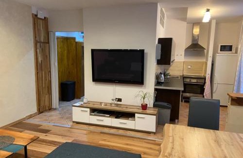 Orlicke Zahori Apartment | Apartmán Orlické hory