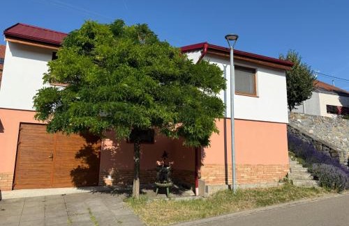 Hustopece Apartment | Quality Stay at Apartmán Pavlenka with Breakfast Included