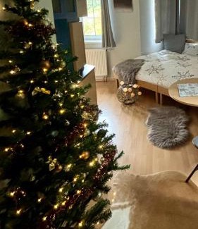 Pec pod Snezkou Apartment | Pet-Friendly Apartmán Pec 322 with Perfect Guest Ratings