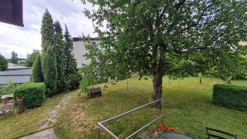 Ruzomberok Apartment | Beautiful Hotel with Terrace & Family-Friendly Amenities