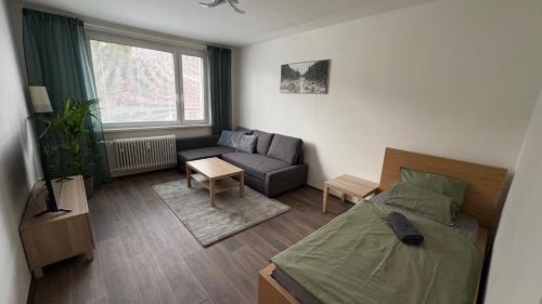 Loucna nad Desnou Apartment | apartmán pod turbínou
