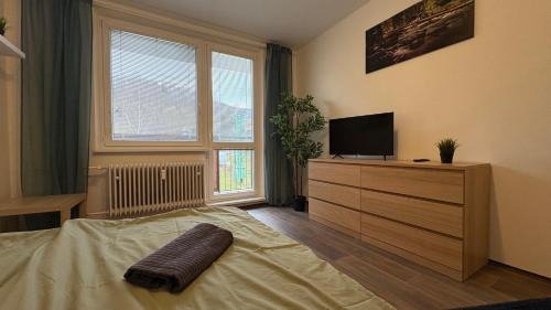 Loucna nad Desnou Apartment | apartmán pod turbínou