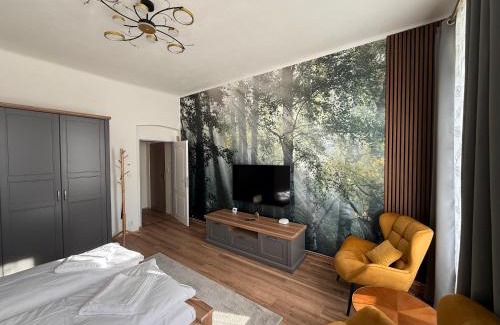 Karlovy Vary Apartment | Apartmán Pohoda - dvojlůžkový, v lázeňském centru