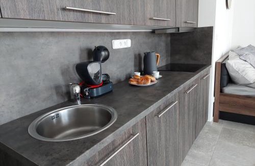Zelezna Ruda Apartment | Relax at Apartmán Rezidence Javor with Private Pool & Spa
