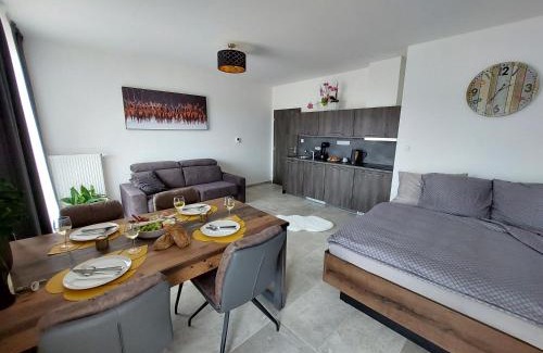 Zelezna Ruda Apartment | Relax at Apartmán Rezidence Javor with Private Pool & Spa