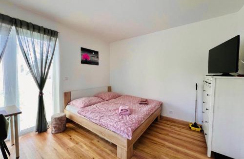 Cerna V Posumavi Apartment | Pet-Friendly Retreat at Apartmán Roda1 in Malé Lipno