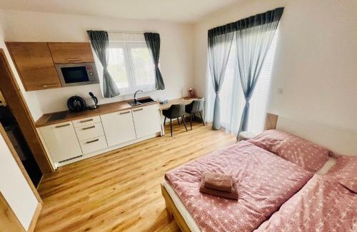 Cerna V Posumavi Apartment | Pet-Friendly Retreat at Apartmán Roda1 in Malé Lipno