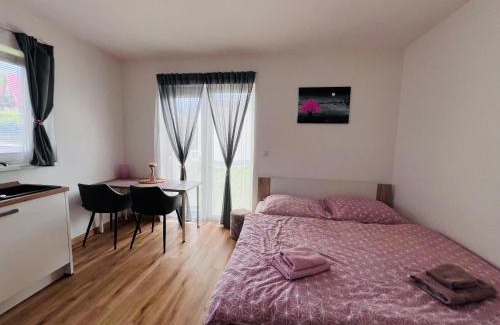 Cerna V Posumavi Apartment | Pet-Friendly Retreat at Apartmán Roda1 in Malé Lipno