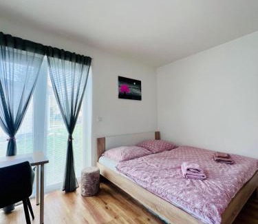 Cerna V Posumavi Apartment | Pet-Friendly Retreat at Apartmán Roda1 in Malé Lipno