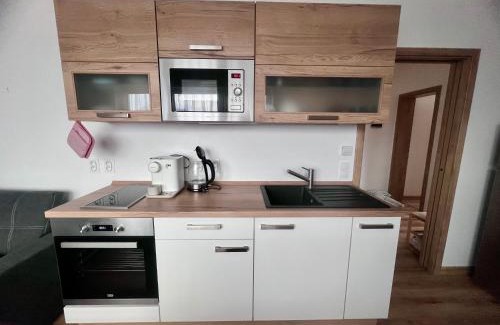 Cerna V Posumavi Apartment | Pet-Friendly Apartmán Roda2 in Scenic Malé Lipno
