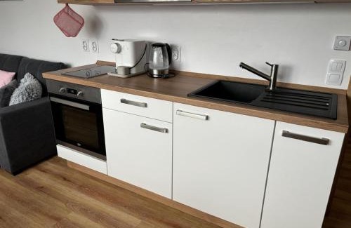 Cerna V Posumavi Apartment | Pet-Friendly Apartmán Roda2 in Scenic Malé Lipno