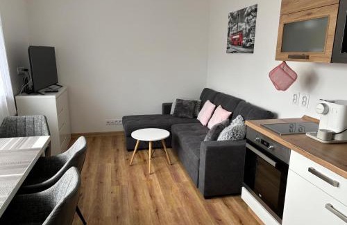 Cerna V Posumavi Apartment | Pet-Friendly Apartmán Roda2 in Scenic Malé Lipno