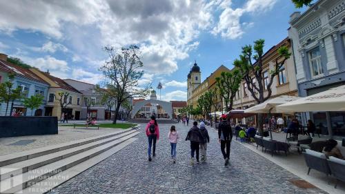 Trencin Apartment | Relax in Exwell: Private Wellness Apartment with Spa Access
