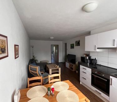 Chodova Plana Apartment | Highly Rated Family-Friendly Stay at Apartmán Sadová 430