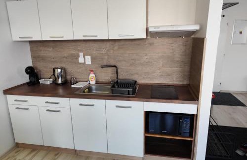 Liptovsky Mikulas Apartment | Highly Rated Child-Friendly Apartmán for Your Stay