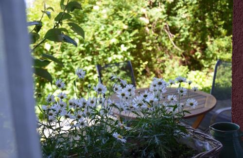 Horni Plana House | Discover Apartmán Srdce Vltavy: Pet-Friendly Retreat