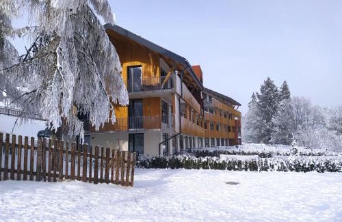 Zadov Apartment | Inviting Apartmán Tommy - Zadov: Guest Rated 9.5/10
